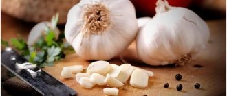 Garlic for gastritis: benefits and harms, tips for introducing it into the diet