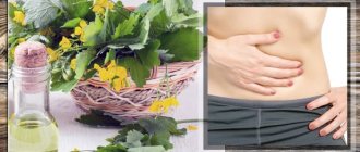 чистотел лечебные свойства и противопоказания рецепты при язве желудка
