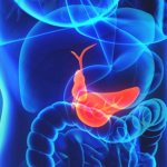 Functions, possible gallbladder diseases and their treatment