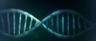 Генетическая мутация приводит к ГГМ