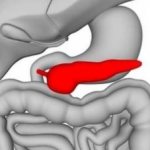 Tail of the pancreas