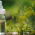 Instructions for young mothers: how to brew dill for newborns for colic and use it correctly