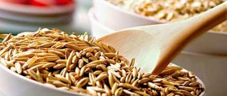 How to properly use oats for pancreatitis and how they are useful
