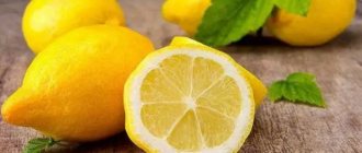 Лимон фото