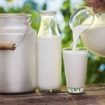 Milk for gastritis of the stomach
