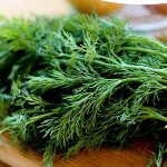 Is it possible to eat dill for gastritis and how to use it in traditional medicine recipes