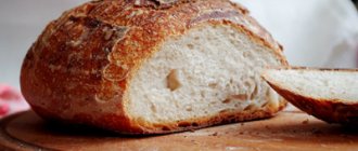 Подсушенный пшеничный хлеб