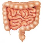Symptoms and treatment of intestinal dyskinesia