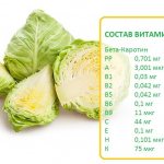 composition of vitamins in cabbage