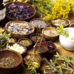 herbs for diarrhea